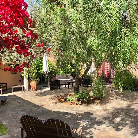 Chambres D'Hotes Le Clos Des Oliviers Sorbo-Ocagnano Esterno foto