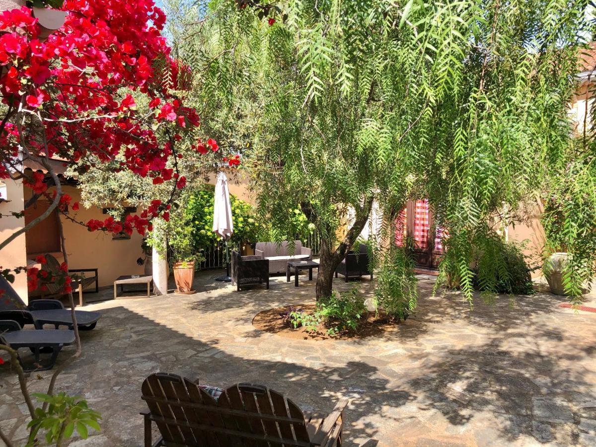 Chambres D'Hotes Le Clos Des Oliviers Sorbo-Ocagnano Esterno foto