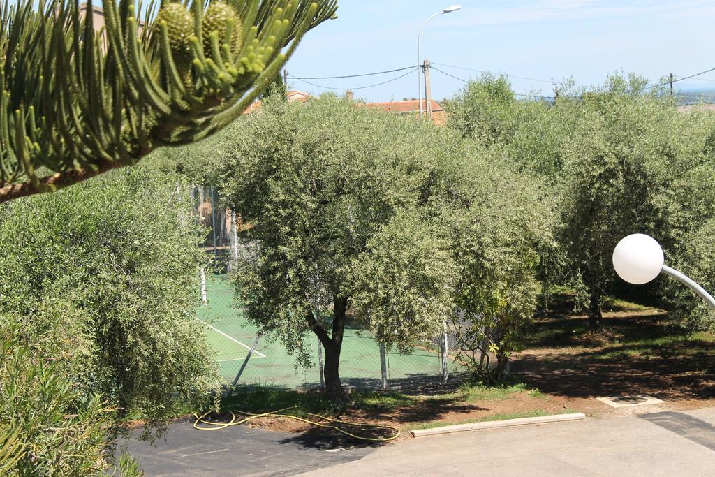 Chambres D'Hotes Le Clos Des Oliviers Sorbo-Ocagnano Esterno foto