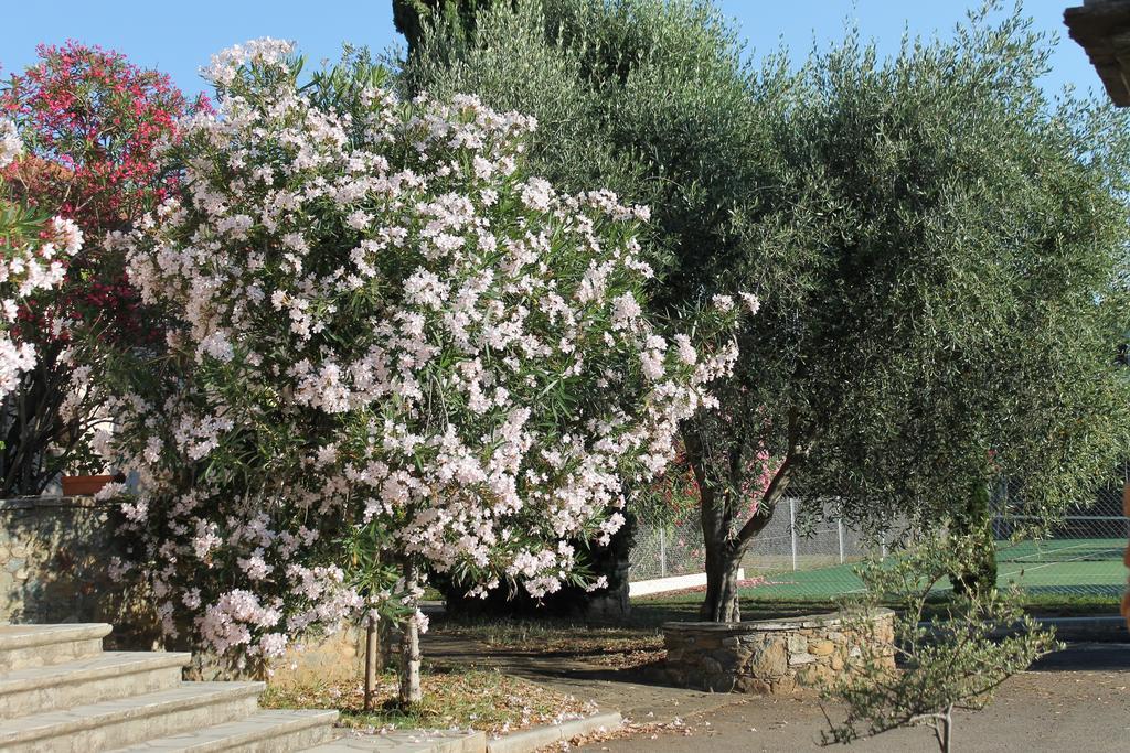 Chambres D'Hotes Le Clos Des Oliviers Sorbo-Ocagnano Esterno foto