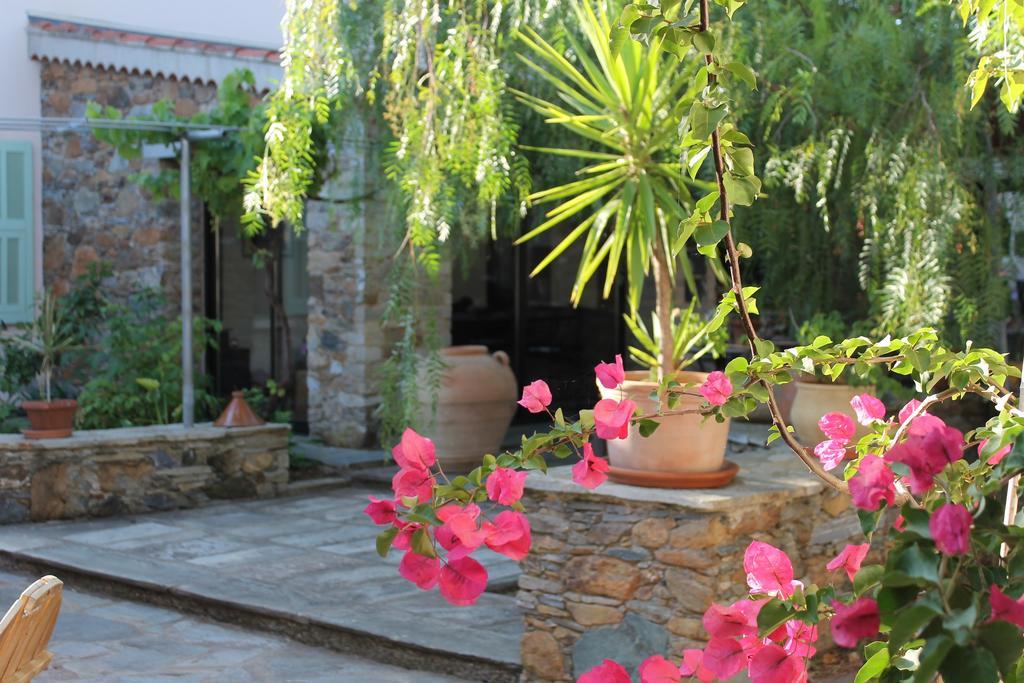 Chambres D'Hotes Le Clos Des Oliviers Sorbo-Ocagnano Esterno foto