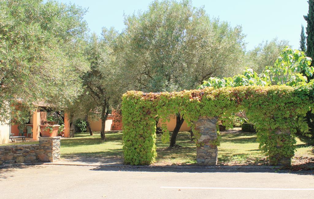 Chambres D'Hotes Le Clos Des Oliviers Sorbo-Ocagnano Esterno foto