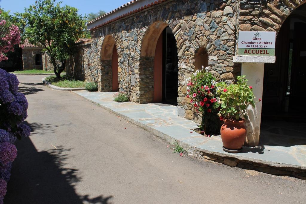 Chambres D'Hotes Le Clos Des Oliviers Sorbo-Ocagnano Esterno foto